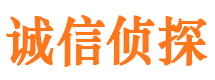 东海市调查公司